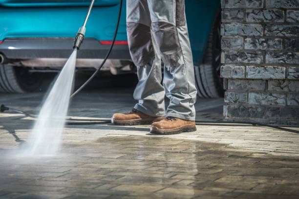 Best Roof Washing  in Elwood, IL